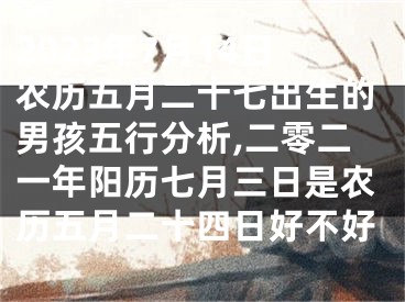 2023年7月14日农历五月二十七出生的男孩五行分析,二零二一年阳历七月三日是农历五月二十四日好不好