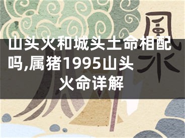 山头火和城头土命相配吗,属猪1995山头火命详解