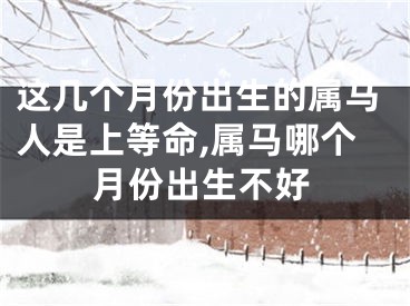 这几个月份出生的属马人是上等命,属马哪个月份出生不好