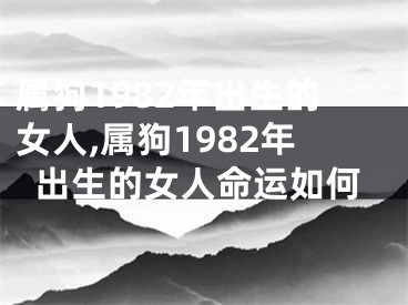 属狗1982年出生的女人,属狗1982年出生的女人命运如何