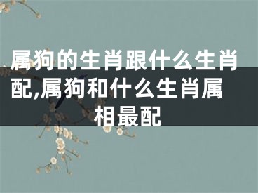 属狗的生肖跟什么生肖配,属狗和什么生肖属相最配