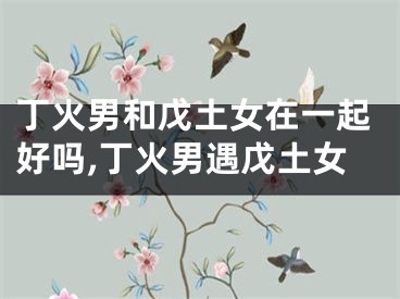 丁火男和戊土女在一起好吗,丁火男遇戊土女