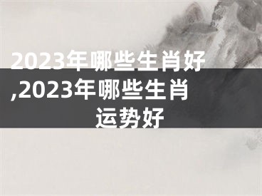 2023年哪些生肖好,2023年哪些生肖运势好