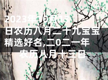 2023年10月13日农历八月二十九宝宝精选好名,二0二一年农历八月十三日