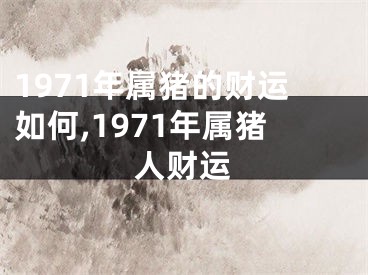 1971年属猪的财运如何,1971年属猪人财运