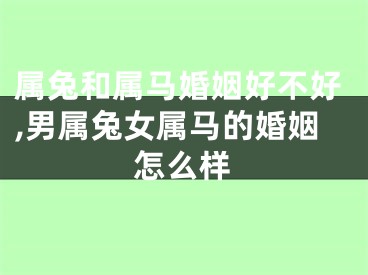 属兔和属马婚姻好不好,男属兔女属马的婚姻怎么样