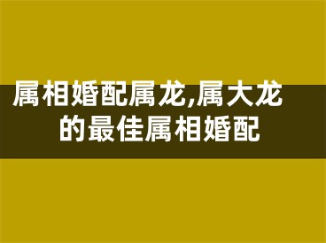 属相婚配属龙,属大龙的最佳属相婚配