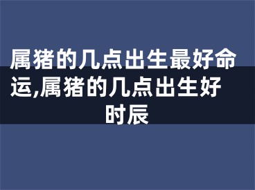 属猪的几点出生最好命运,属猪的几点出生好时辰