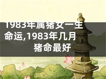 1983年属猪女一生命运,1983年几月猪命最好