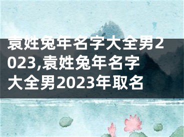 袁姓兔年名字大全男2023,袁姓兔年名字大全男2023年取名