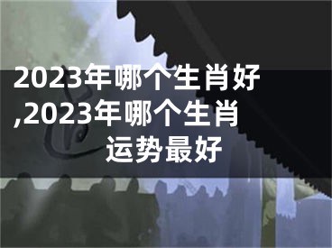 2023年哪个生肖好,2023年哪个生肖运势最好