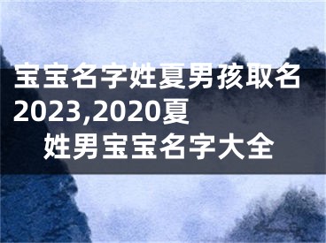 宝宝名字姓夏男孩取名2023,2020夏姓男宝宝名字大全