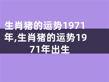 生肖猪的运势1971年,生肖猪的运势1971年出生