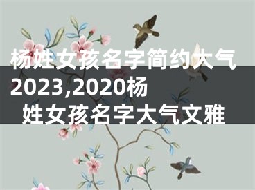 杨姓女孩名字简约大气2023,2020杨姓女孩名字大气文雅