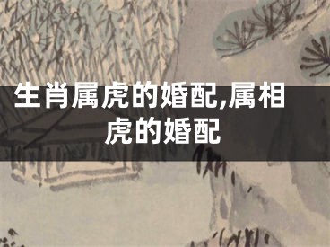 生肖属虎的婚配,属相虎的婚配