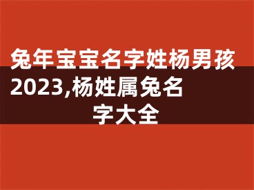 兔年宝宝名字姓杨男孩2023,杨姓属兔名字大全