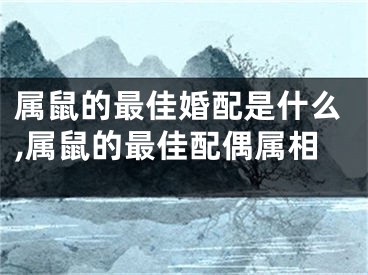 属鼠的最佳婚配是什么,属鼠的最佳配偶属相