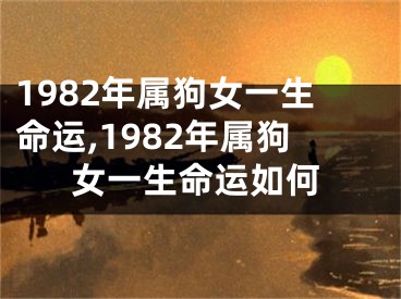 1982年属狗女一生命运,1982年属狗女一生命运如何