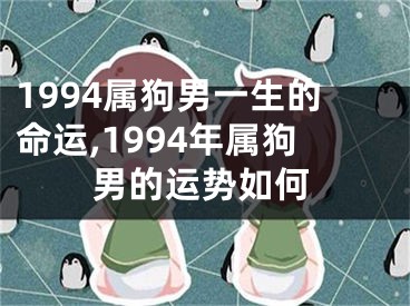 1994属狗男一生的命运,1994年属狗男的运势如何