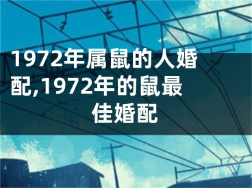 1972年属鼠的人婚配,1972年的鼠最佳婚配