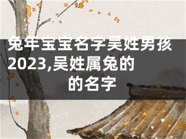 兔年宝宝名字吴姓男孩2023,吴姓属兔的的名字