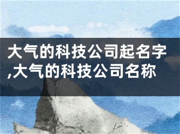 大气的科技公司起名字,大气的科技公司名称