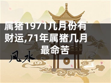 属猪1971几月份有财运,71年属猪几月最命苦