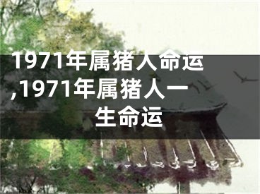 1971年属猪人命运,1971年属猪人一生命运