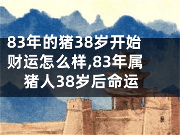 83年的猪38岁开始财运怎么样,83年属猪人38岁后命运