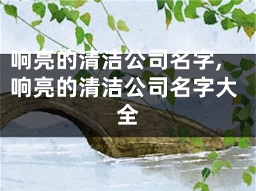 响亮的清洁公司名字,响亮的清洁公司名字大全