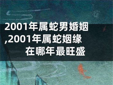 2001年属蛇男婚姻,2001年属蛇姻缘在哪年最旺盛