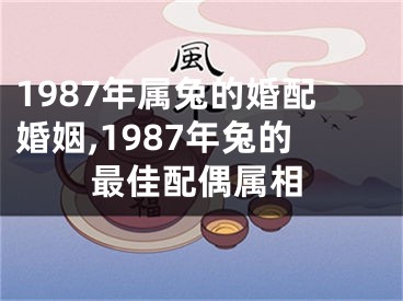 1987年属兔的婚配婚姻,1987年兔的最佳配偶属相