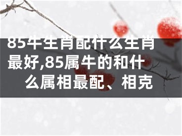 85牛生肖配什么生肖最好,85属牛的和什么属相最配、相克