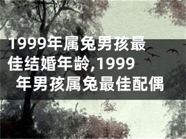 1999年属兔男孩最佳结婚年龄,1999年男孩属兔最佳配偶