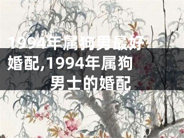 1994年属狗男最好婚配,1994年属狗男士的婚配