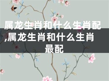 属龙生肖和什么生肖配,属龙生肖和什么生肖最配