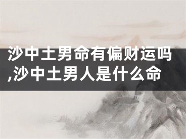 沙中土男命有偏财运吗,沙中土男人是什么命