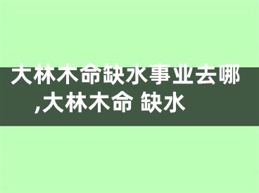 大林木命缺水事业去哪,大林木命 缺水