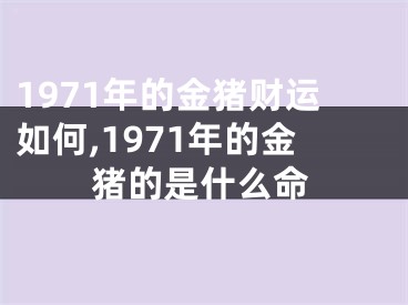 1971年的金猪财运如何,1971年的金猪的是什么命