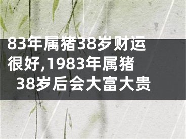 83年属猪38岁财运很好,1983年属猪38岁后会大富大贵