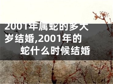 2001年属蛇的多大岁结婚,2001年的蛇什么时候结婚