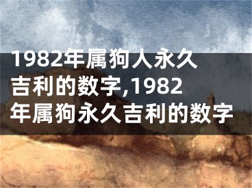 1982年属狗人永久吉利的数字,1982年属狗永久吉利的数字