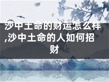 沙中土命的财运怎么样,沙中土命的人如何招财