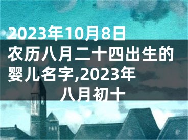 2023年10月8日农历八月二十四出生的婴儿名字,2023年八月初十