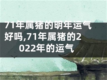 71年属猪的明年运气好吗,71年属猪的2022年的运气