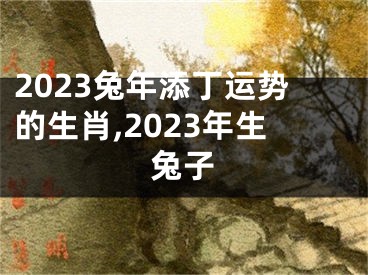 2023兔年添丁运势的生肖,2023年生兔子