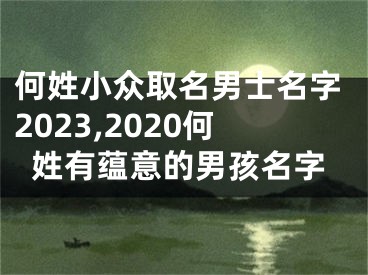 何姓小众取名男士名字2023,2020何姓有蕴意的男孩名字