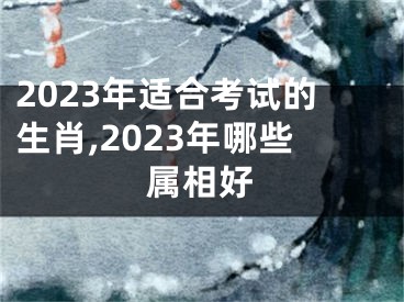 2023年适合考试的生肖,2023年哪些属相好