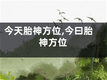 今天胎神方位,今曰胎神方位