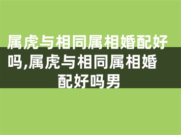 属虎与相同属相婚配好吗,属虎与相同属相婚配好吗男